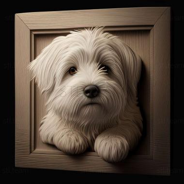 3D model Coton de tulear dog (STL)